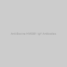 Image of Anti-Bovine HMGB1 IgY Antibodies